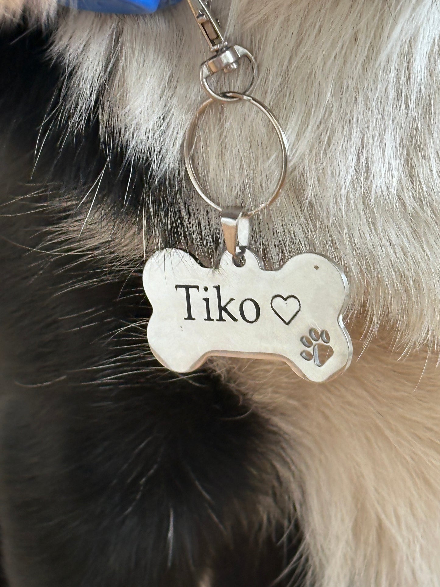 Navnebrikke til hund - med gravering